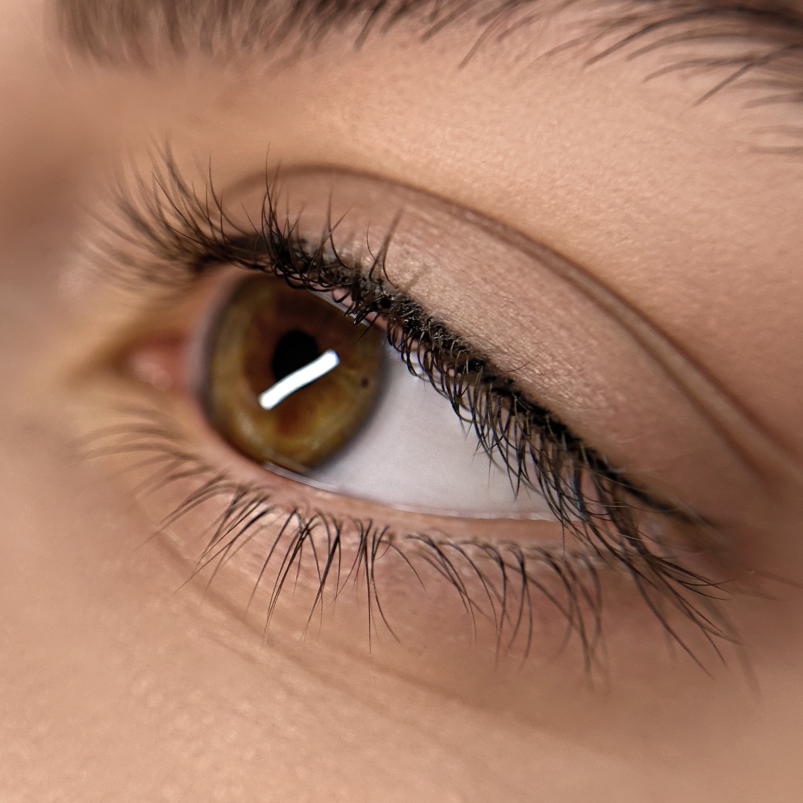 AUGEN